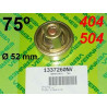 THERMOSTAT RADIATEUR